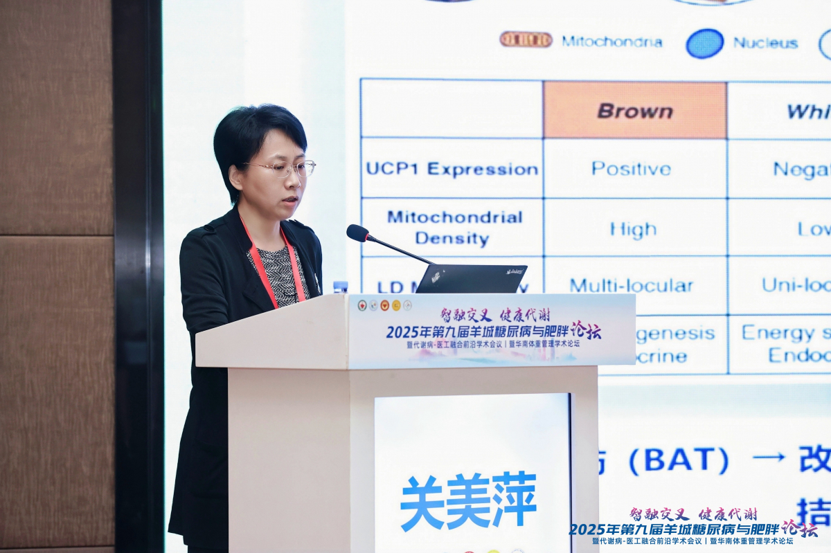 image-20251110181052-22