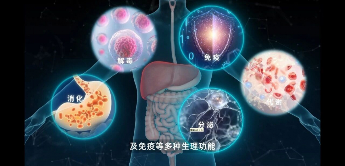 image-20251112090849-2