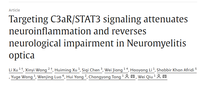 image-20251112172945-1