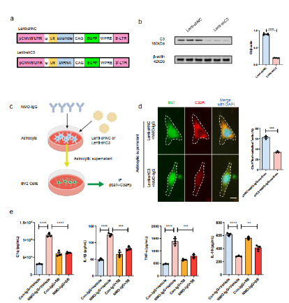 image-20251112173003-2