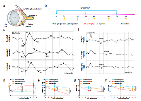image-20251112173006-3