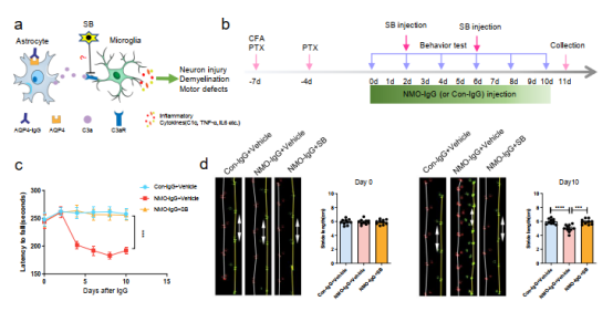 image-20251112173009-4