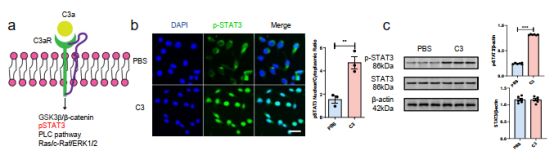 image-20251112173012-5