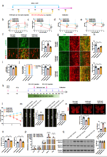 image-20251112173015-6