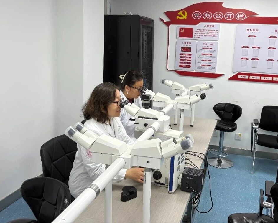 image-20251117083442-2