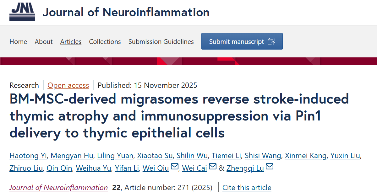 image-20251117115131-1