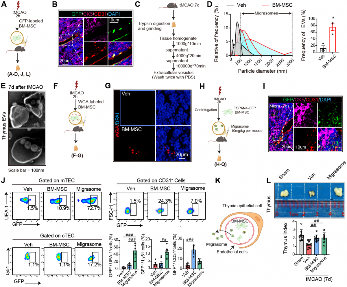 image-20251117115156-2