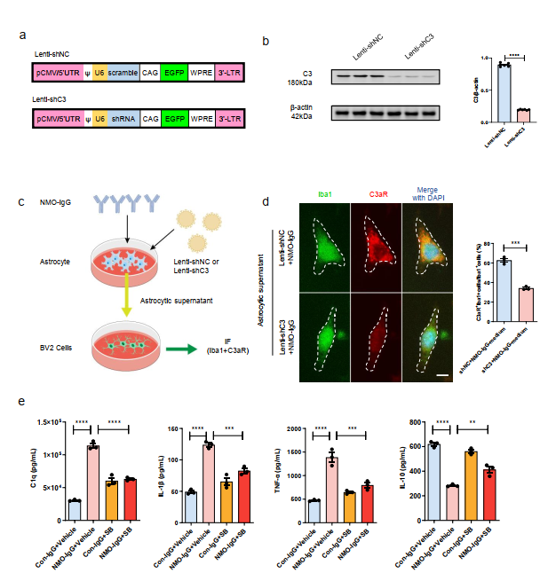 image-20251118171119-2