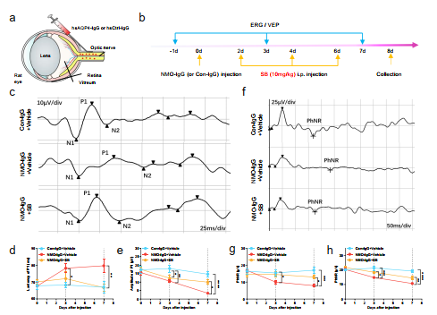 image-20251118171119-3