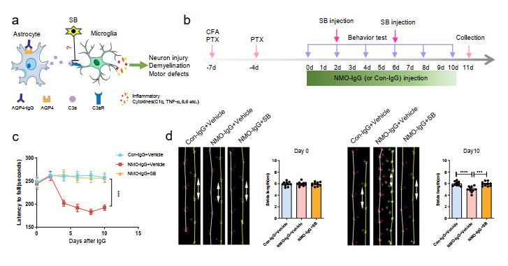 image-20251118171119-4