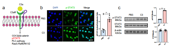 image-20251118171119-5