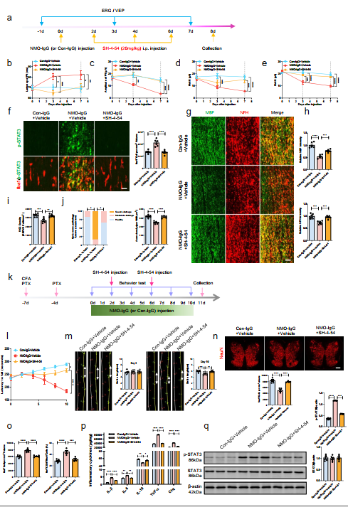 image-20251118171119-6