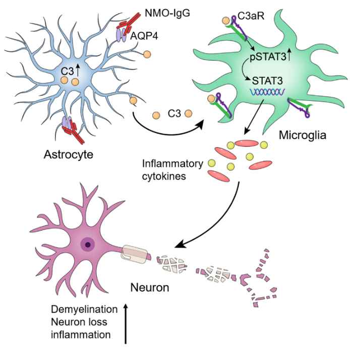 image-20251118171119-7