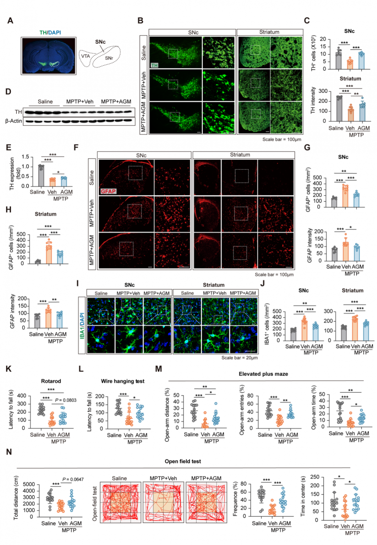 image-20251126113230-2