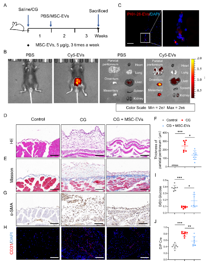 image-20251209170510-2