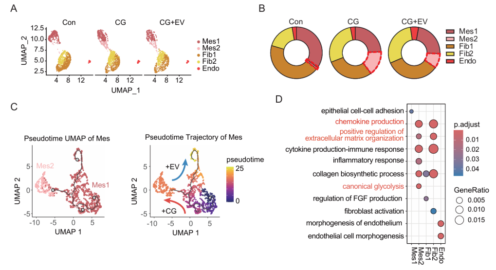 image-20251209170510-4