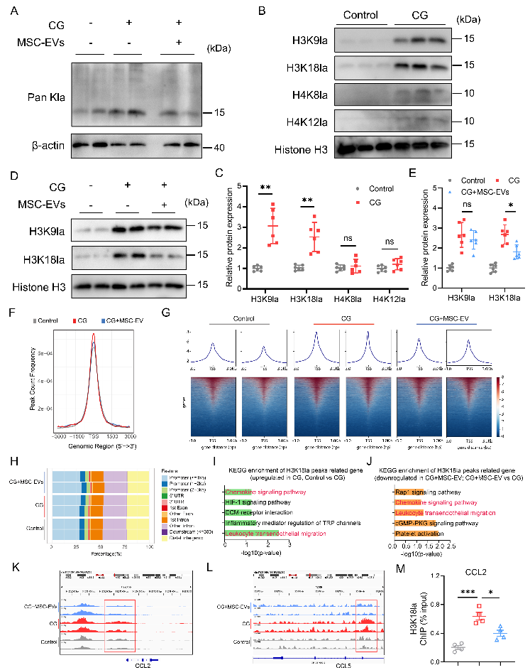 image-20251209170510-5