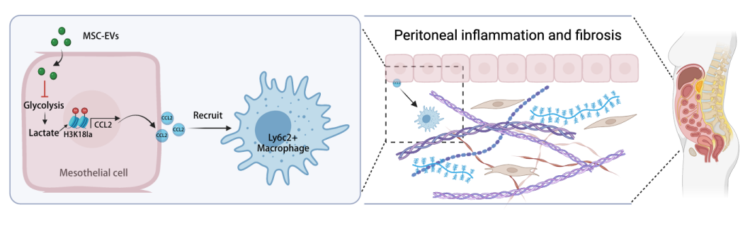image-20251209170510-6