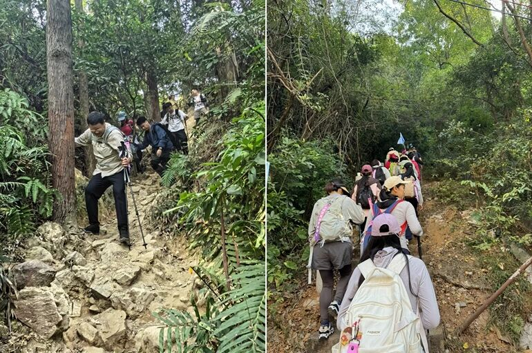 image-20251211114017-5