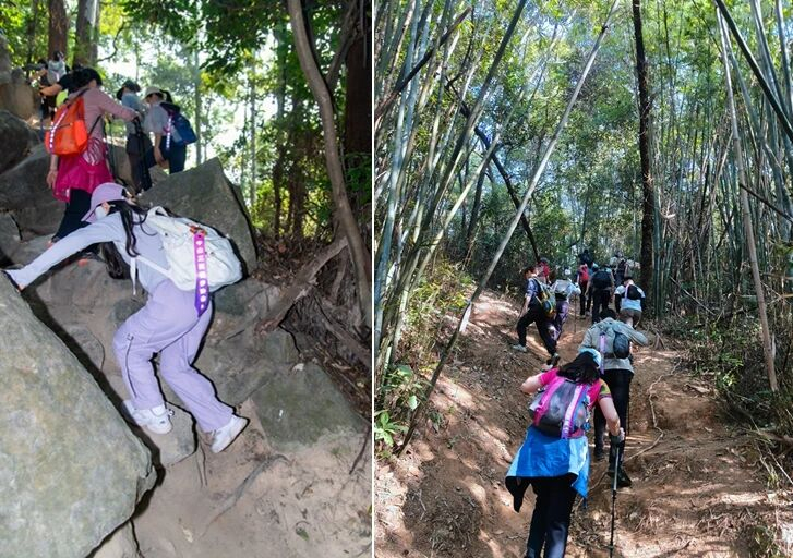 image-20251211114026-6