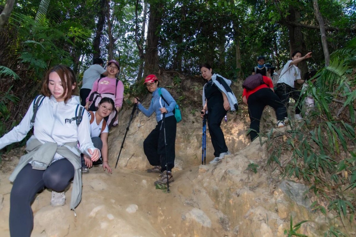 image-20251211114036-7