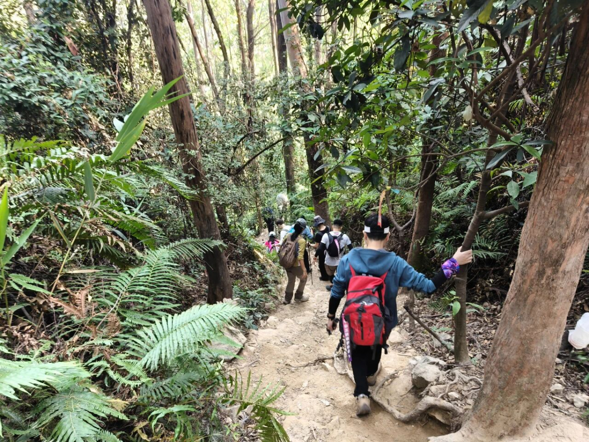 image-20251211114045-8