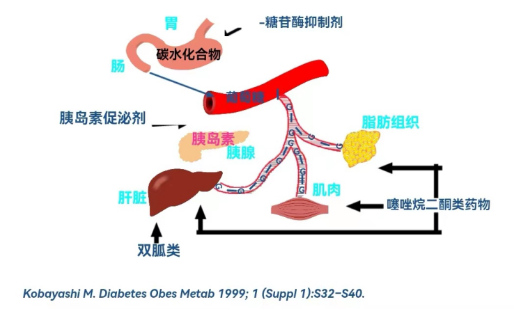 image-20260104144934-2