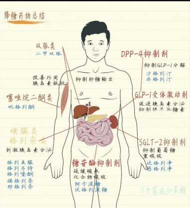 image-20260104145008-3