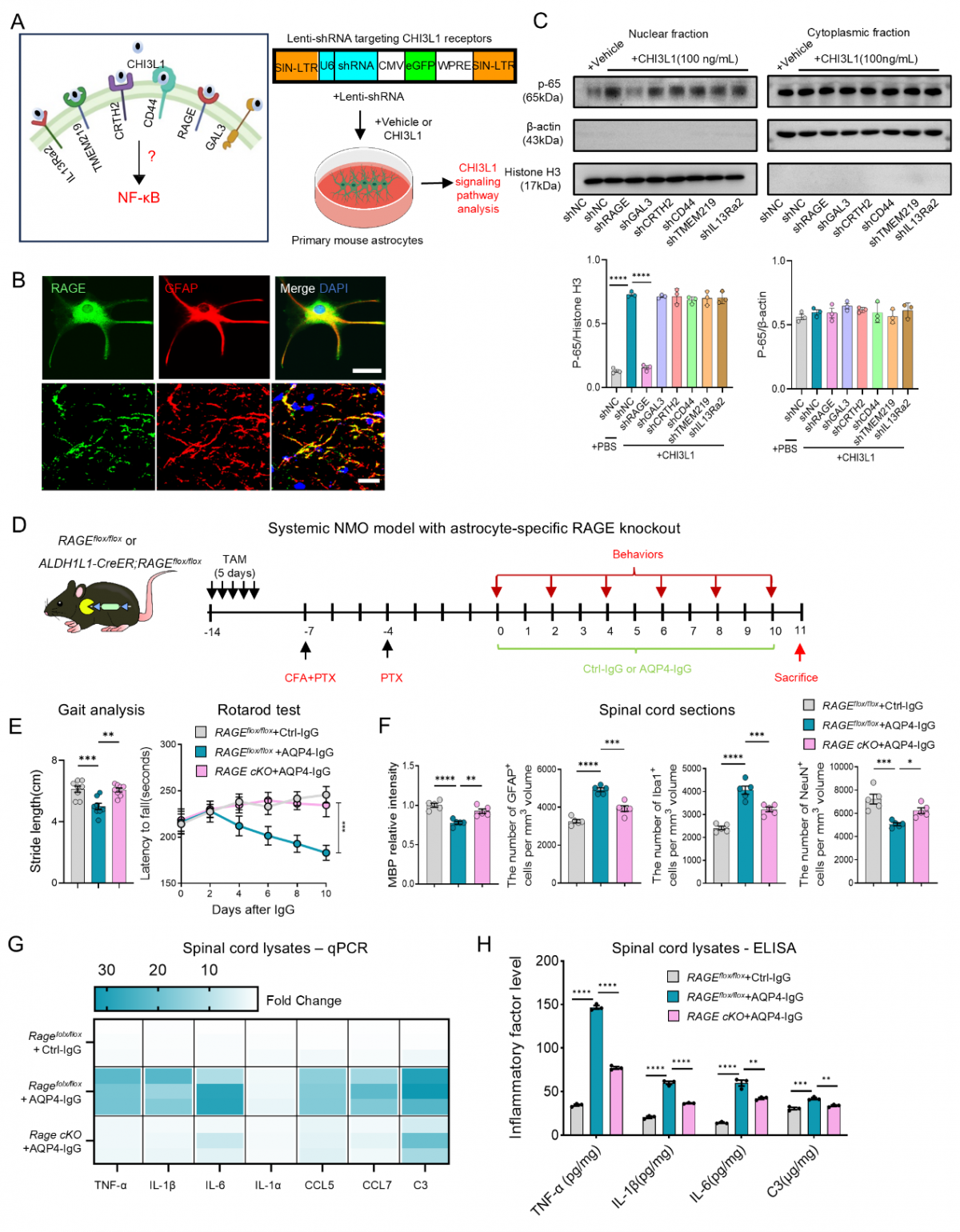 image-20260113110541-3
