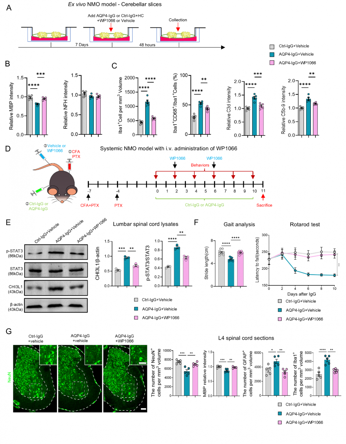 image-20260113110554-4