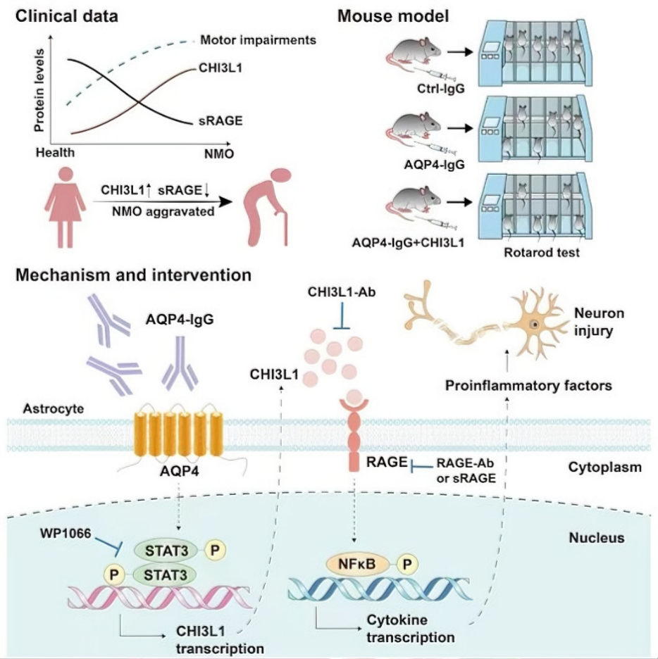 image-20260113110604-5