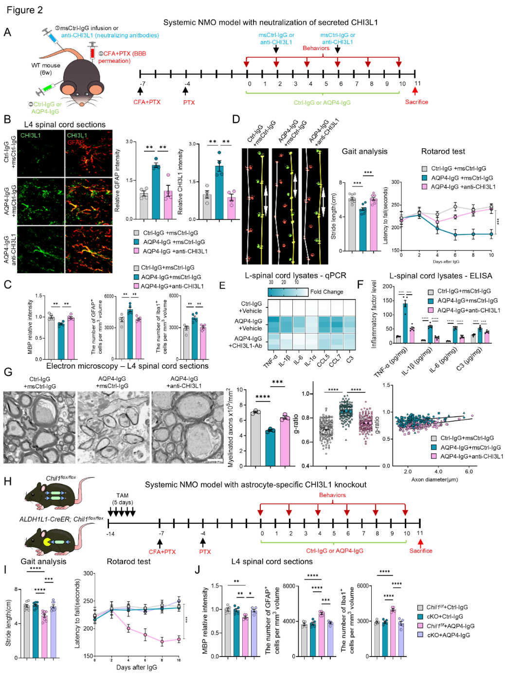 image-20260120162042-2