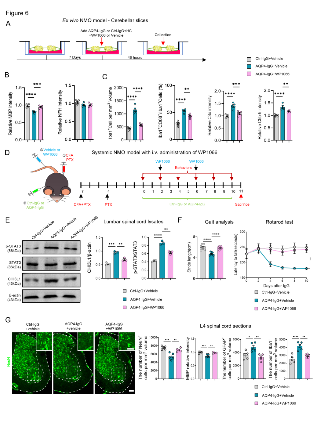 image-20260120162042-4