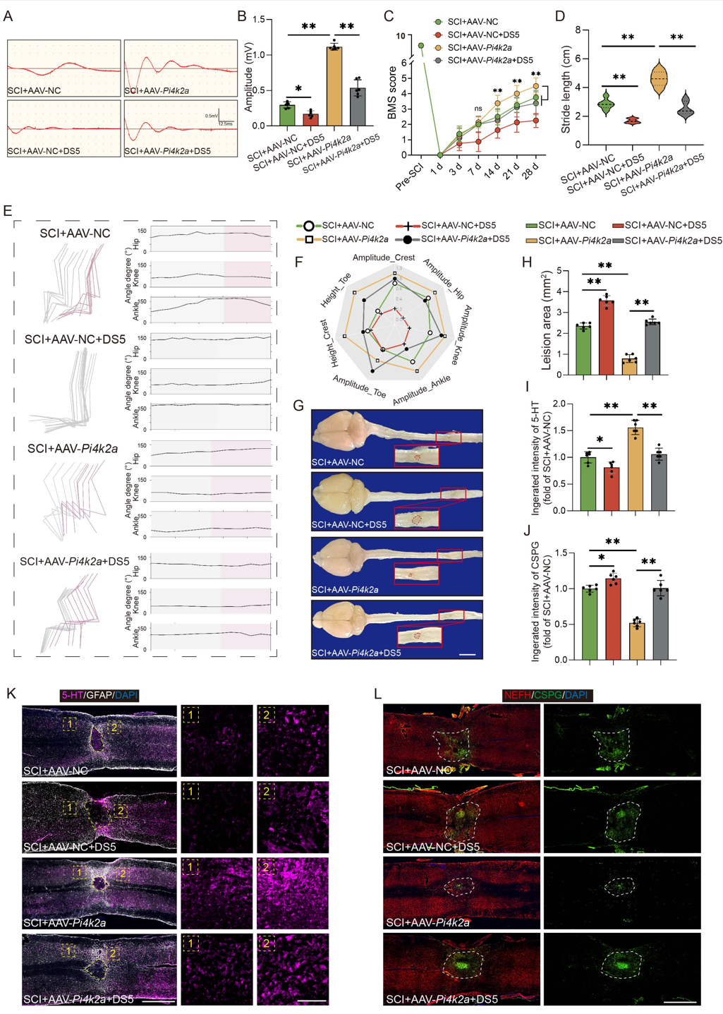 image-20260211150618-2