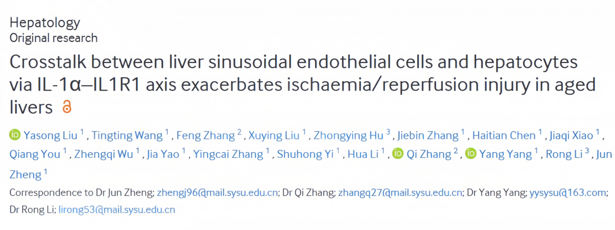 image-20260214081501-1