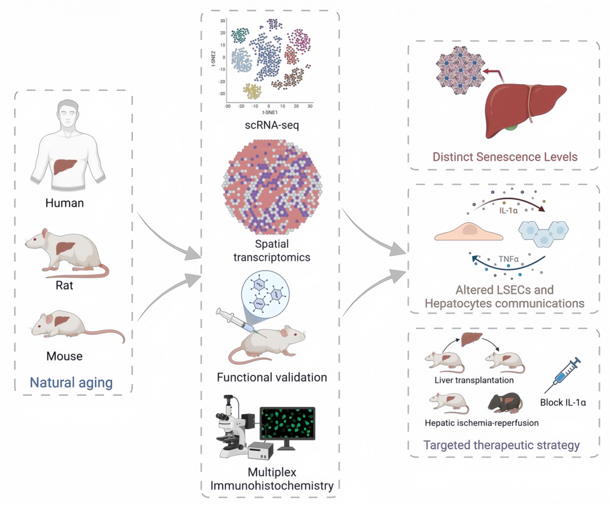 image-20260214081518-2