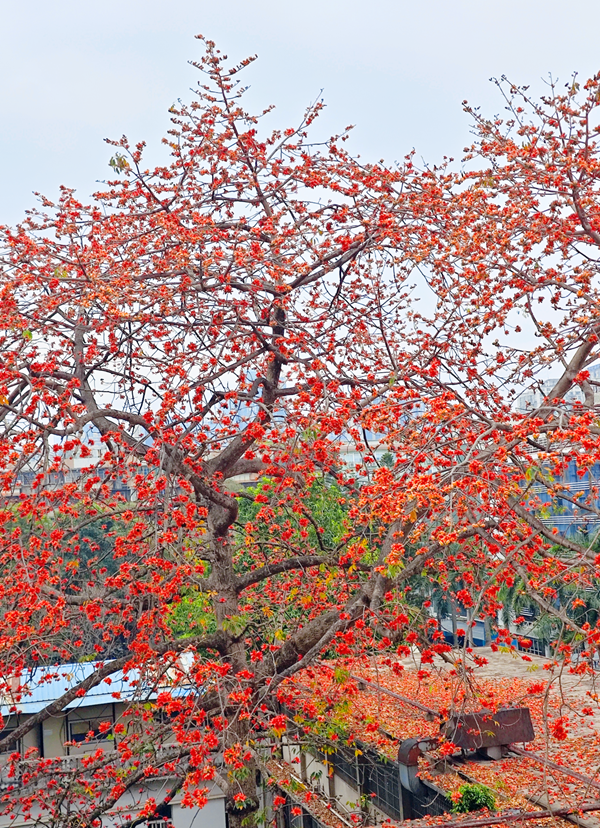 image-20260225092506-5