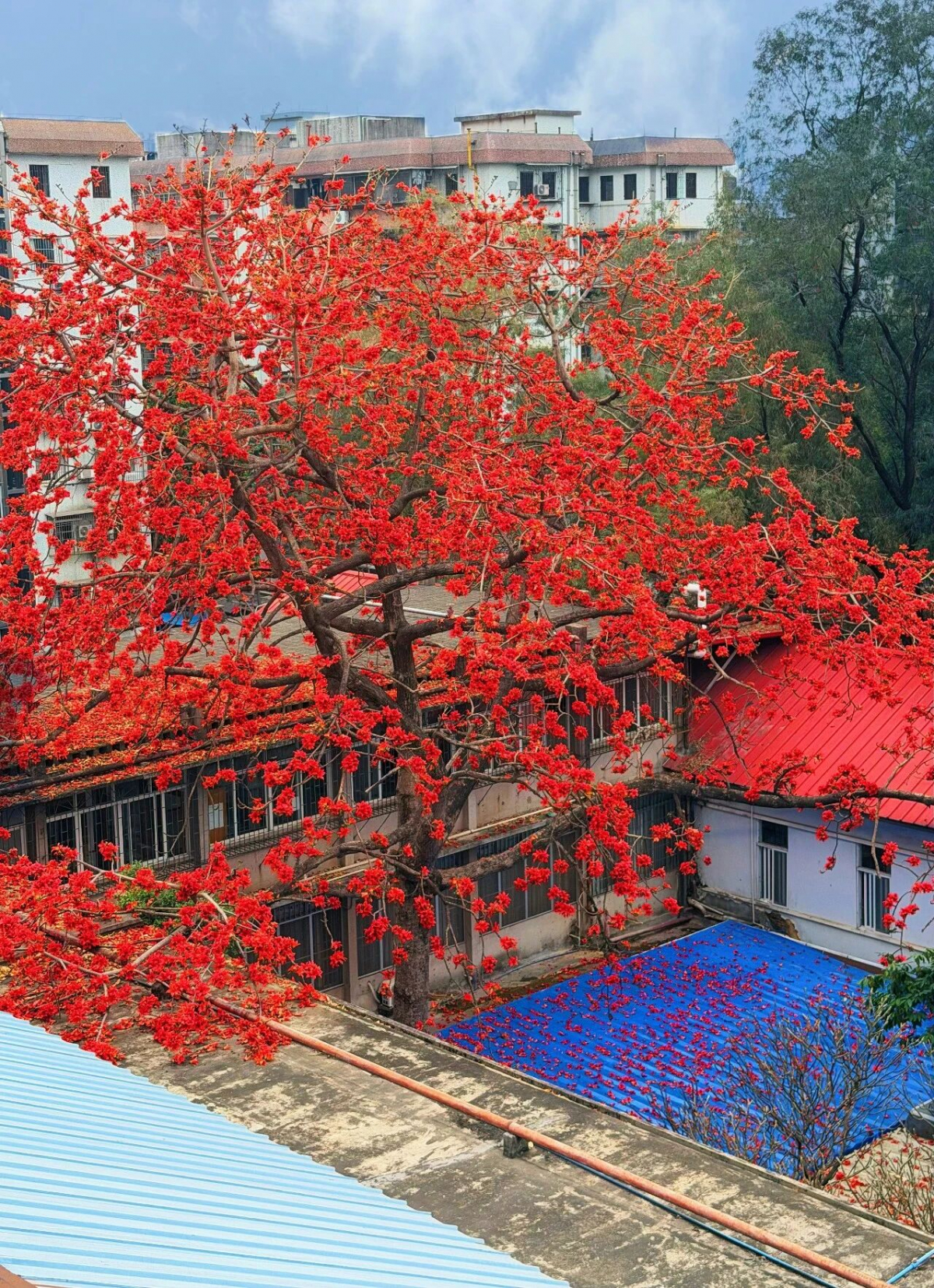 image-20260225092612-7