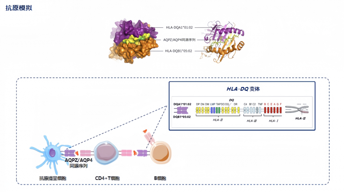 image-20260325082231-4