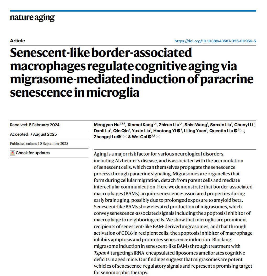 image-20260326112030-3