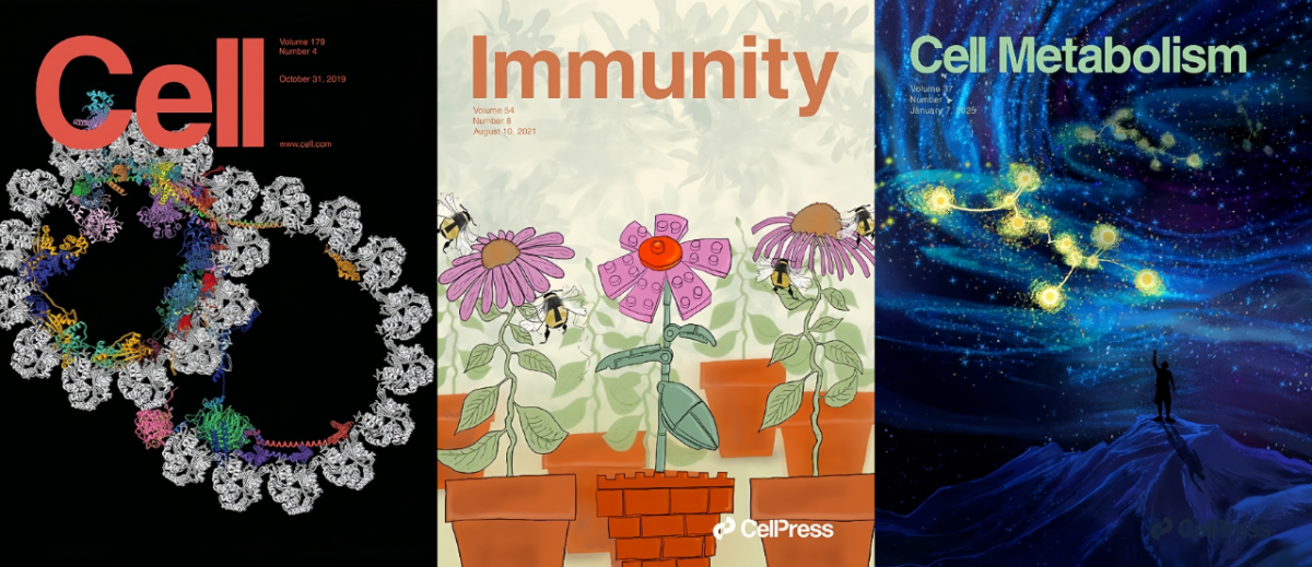 image-20260326112413-1