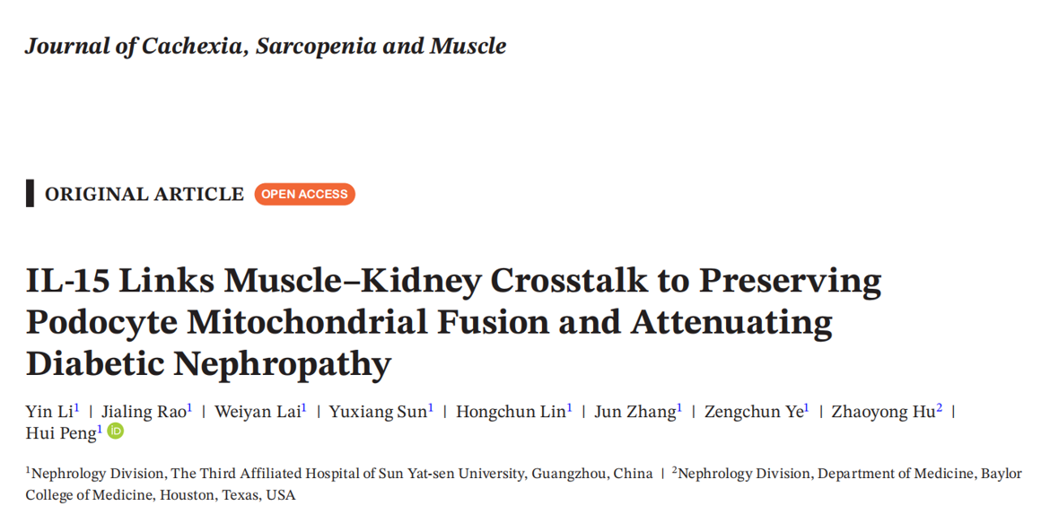 image-20260403173321-1