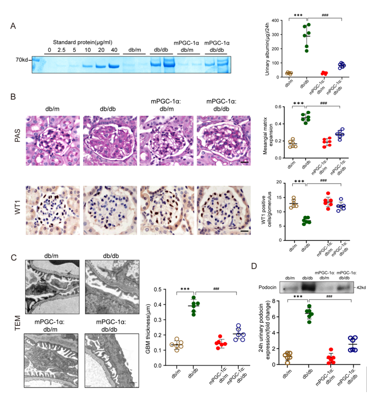 image-20260403173419-2