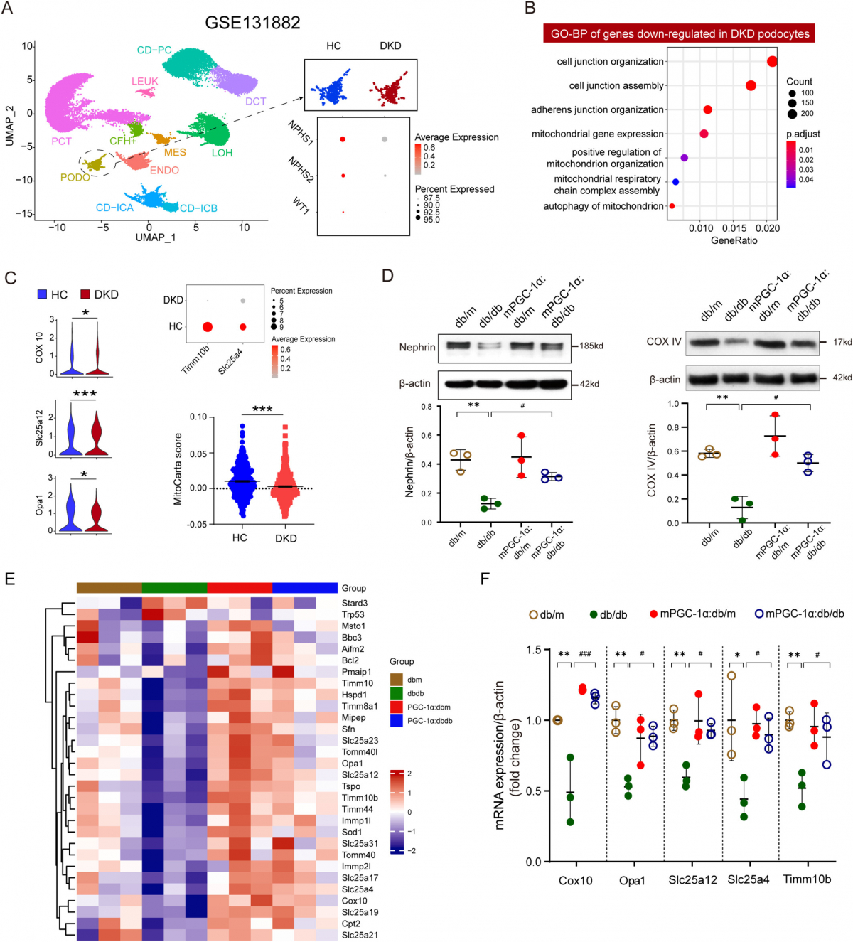 image-20260403173439-3