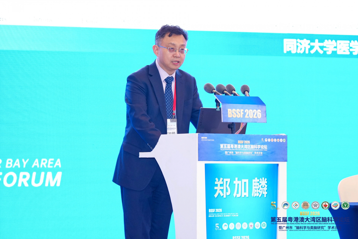 image-20260408162638-9