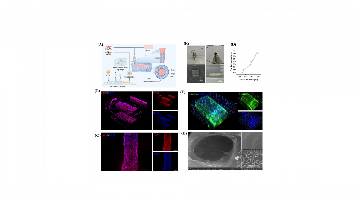 image-20260430173012-3