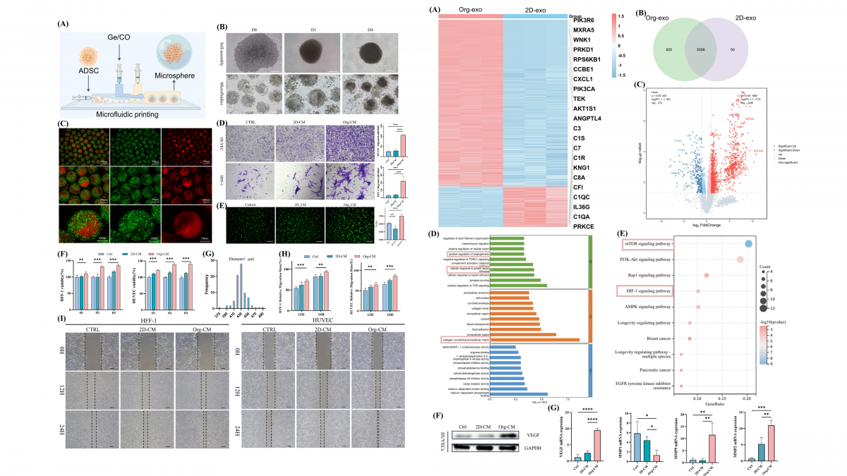 image-20260430173012-4