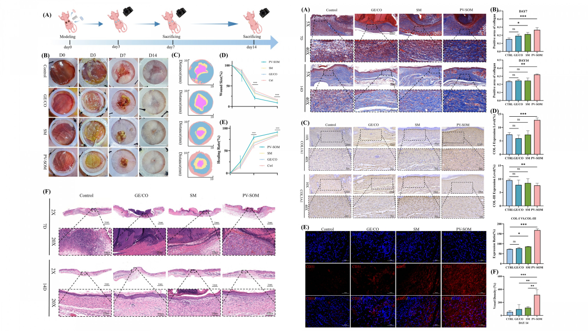 image-20260430173012-5